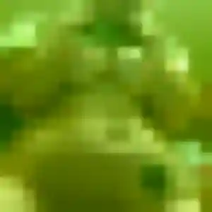 Djeneba, 41 ans, disponible à Le Broc pour une rencontre coquine