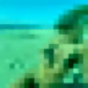 Contacte Neema, 22 ans à Le Cannet en privé