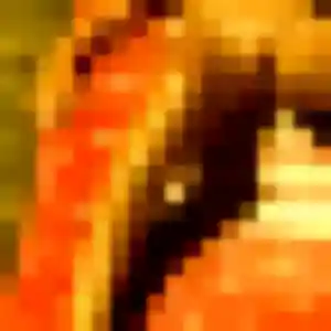 Photo de Jamila à Le Châtelet (43 ans) - plan cul discret