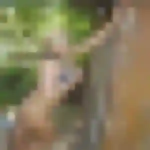 Photo de Félicité à Le Conquet (43 ans) - plan cul gratuit
