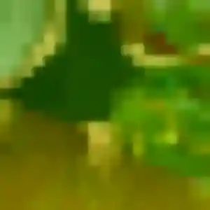 Photo perso de Yasmine, 41 ans à Le Grand-Serre - rencontre coquine