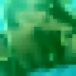 Jolie Élise, 40 ans à Le Havre - la contacter