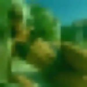 Tessa, fille de 42 ans propose plan cul à Le Hinglé