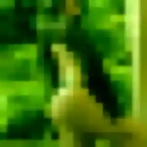 Célestine, femme de 25 ans cherche plan cul à Le Landreau