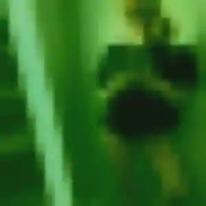 Photo de Arame à Le Loroux-Bottereau (43 ans) - plan cul discret