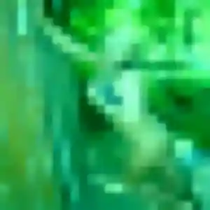 Jolie Titi, 34 ans à Le Monteil - découvrir son profil