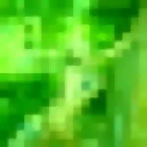 Photo de Félicité à Le Plessis-Pâté (38 ans) - plan cul sans inscription