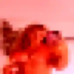 Latifa, 31 ans, en ligne à Le Poinçonnet pour une rencontre coquine