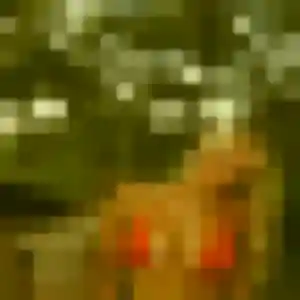 Rejoins Nafi, 26 ans à Le Portel en t'inscrivant