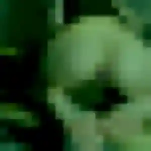 Blessing, femme de 22 ans cherche plan cul à Le Pouget