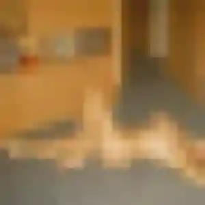 Salma, femme de 34 ans propose plan cul à Le Pré-d'Auge