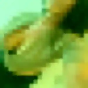 Photo exclusive de Hélène, 24 ans à Le Rove - rencontre coquine