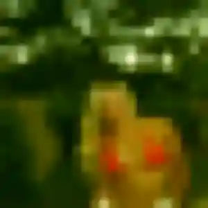 Photo de Laetitia à Le Vieux-Marché (33 ans) - plan cul discret