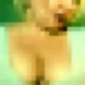Marina de Le Vigeant, 29 ans - plan cul discret