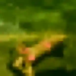 Diary de Lederzeele, 33 ans - plan cul en toute liberté