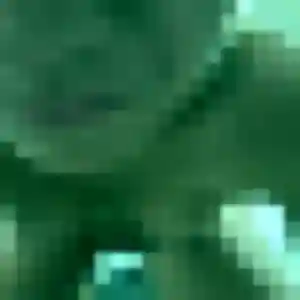 Belle Capucine, 25 ans à Lemberg - voir sa photo