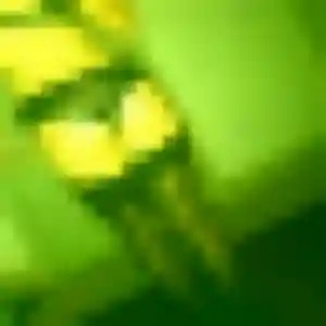 plan cul à Lemberg : profil de Suzanne, 39 ans - sans engagement