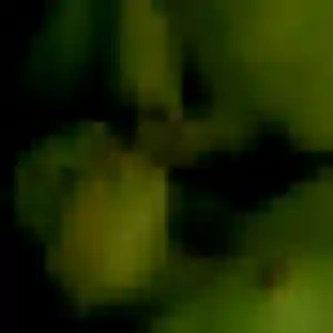 Jolie Amani, 29 ans à Lencloître - voir sa photo