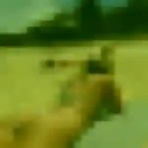 Abibatou, 41 ans, dispo pour plan cul à Lens