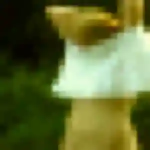 Afi, fille de 24 ans propose plan cul à Léon