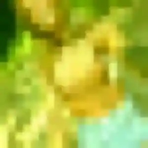 Photo perso de Amara, 29 ans à Léon - rencontre sans lendemain