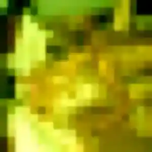 plan cul à Les Attaques : photo de Téning, 29 ans - sans engagement