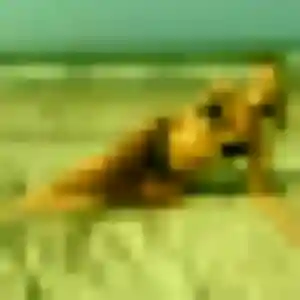 Miriam, 31 ans, dispo pour plan cul à Les Barthes