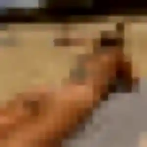 Nadège, fille de 24 ans veut plan cul à Les Belleville