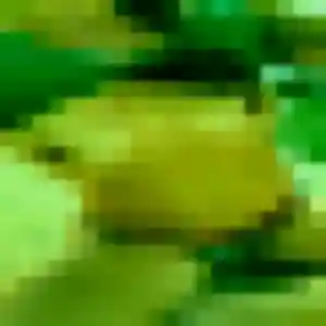 plan cul à Les Epesses : photo de Philippine, 42 ans - inscription gratuite