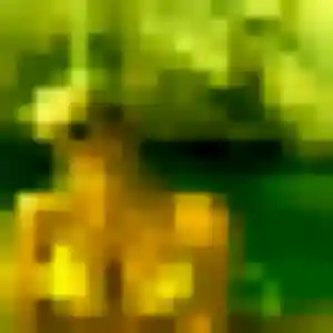 Photo de Sokhna à Les Hôpitaux-Neufs (39 ans) - plan cul anonyme