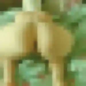 Awa, fille de 40 ans propose plan cul à Les Pieux