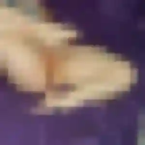 Esi, 25 ans, connectée à Les Portes-en-Ré pour une rencontre coquine