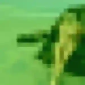 Jolie Astan, 25 ans à Les Rairies - la contacter