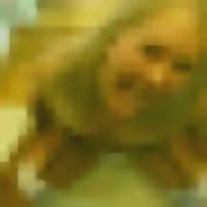 Saly (41 ans) à Lestiac-sur-Garonne cherche une rencontre aujourd'hui