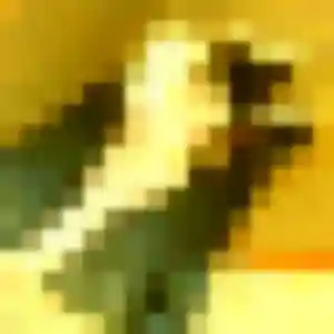 Sexy Efua, 29 ans à Leuc - voir sa photo