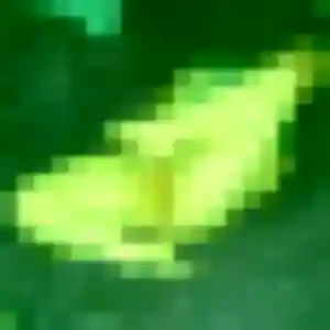 Photo de Ramata à Lévignen (40 ans) - plan cul anonyme