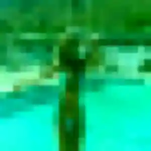 Photo de Nadia à Lévis-Saint-Nom (35 ans) - plan cul gratuit