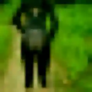 Photo de Leïla à Lignerolles (33 ans) - plan cul anonyme