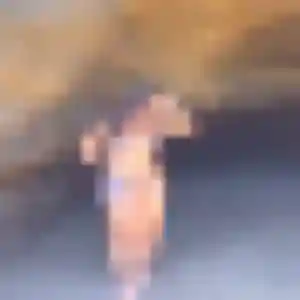 Belle Comfort, 26 ans à Lille - la contacter