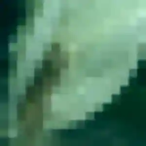 Lou (33 ans) à Linards cherche un plan cul ce soir