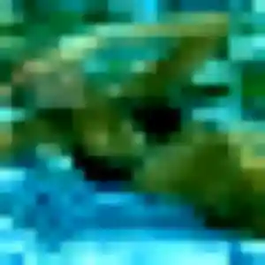 plan cul à Linars : photo de Yankuba, 29 ans - inscription gratuite