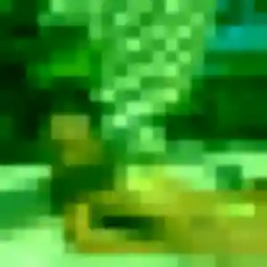 Rencontre Korotoumou, 38 ans à Linguizzetta en t'inscrivant