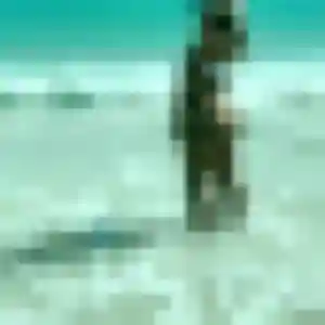 Charmante Aida, 35 ans à Locquirec - voir sa photo