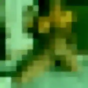 Carine, 29 ans, cherche un plan cul à Lommoye