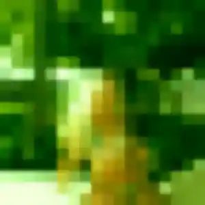 Profil de Xavière à Longechenal (38 ans) - plan cul gratuit