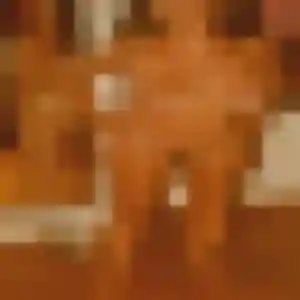 Carine, 45 ans, veut un plan cul à Longèves