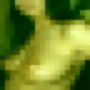 Célestine, 36 ans, connectée à Longnes pour un plan cul