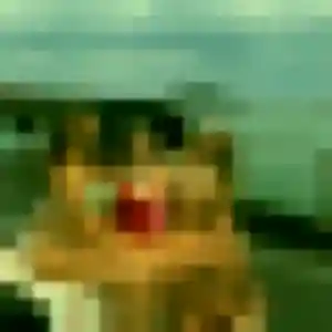 Rejoins Selbé, 25 ans à Lourmarin en privé