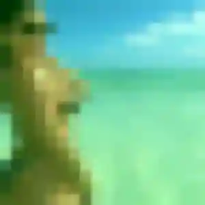 Ifeoma, 44 ans, veut un plan cul à Lozinghem