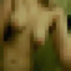 Photo de Éléonore à Luc-la-Primaube (28 ans) - plan cul anonyme